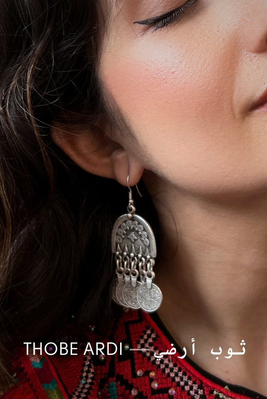 Dome & Coins Earrings